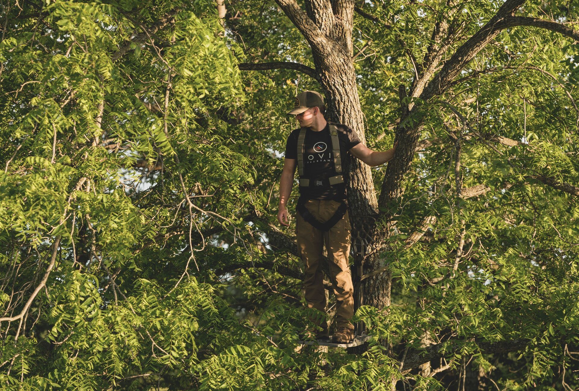 A hunter in a tree stand, when is Tennessee deer hunting 2024 concept.