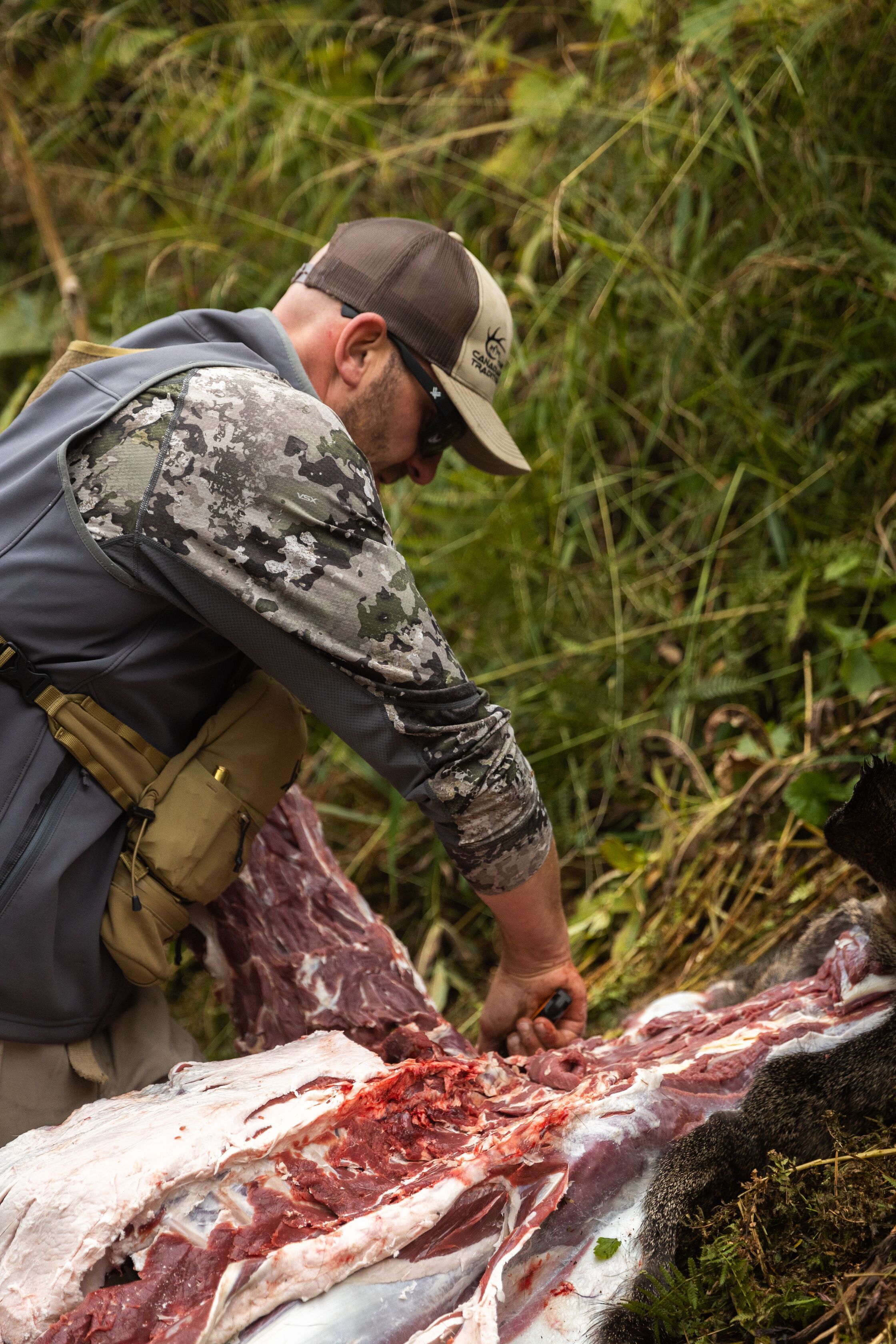 Hunter field dressing a deer in the woods after a hunt.