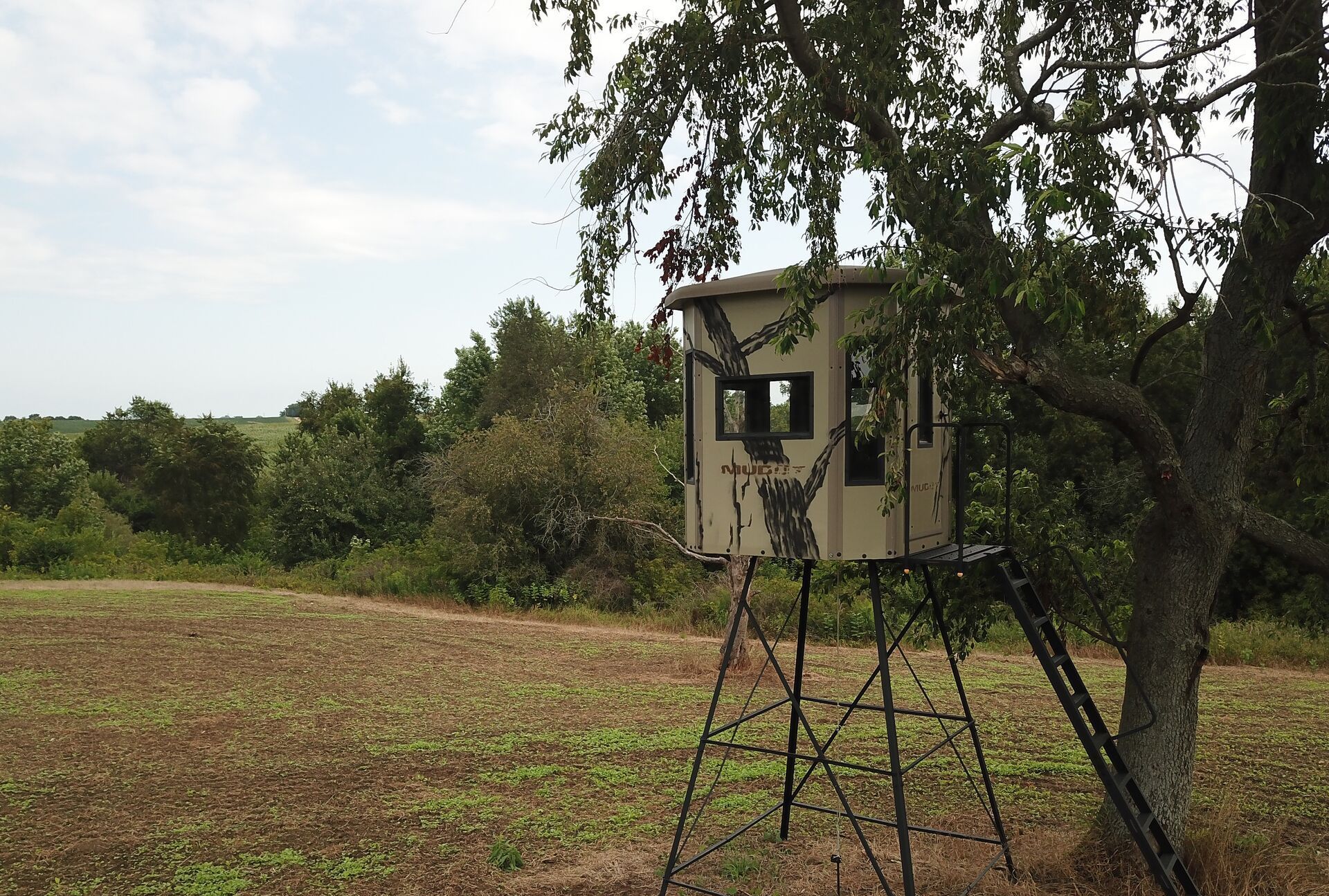 A hunting blind in the trees at the edge of a field, find private hunting land near me concept.