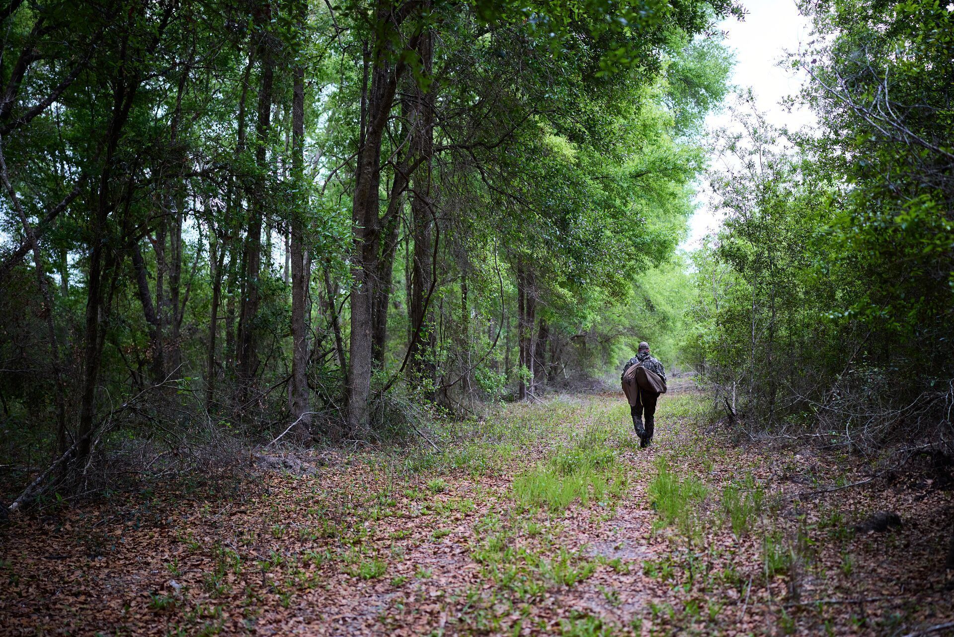 Hunter walks in the distance in the woods.