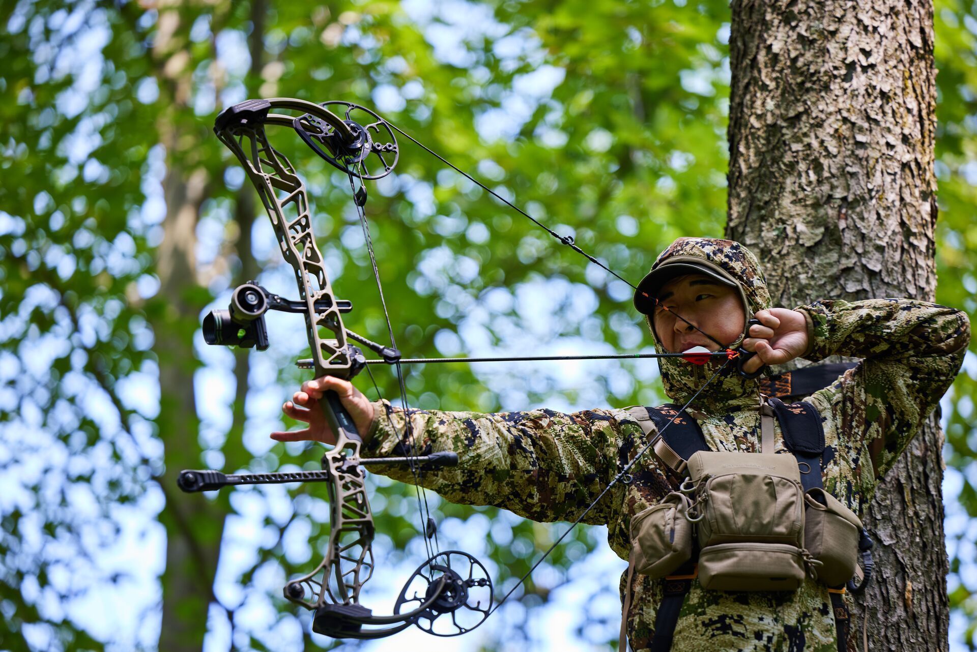 A hunter in a tree stand draws back a bow, compound vs recurve bow concept.