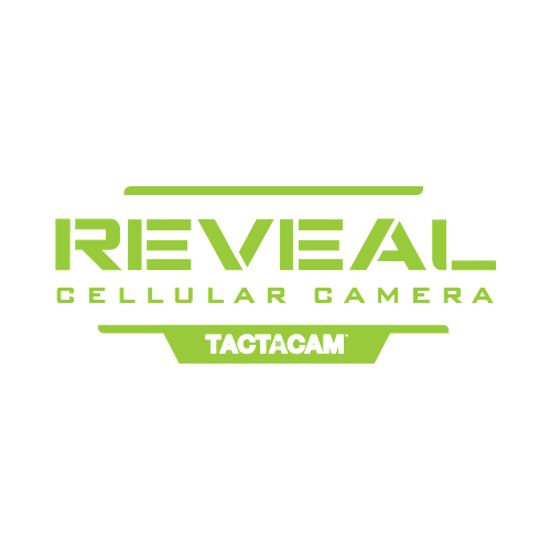 Reveal