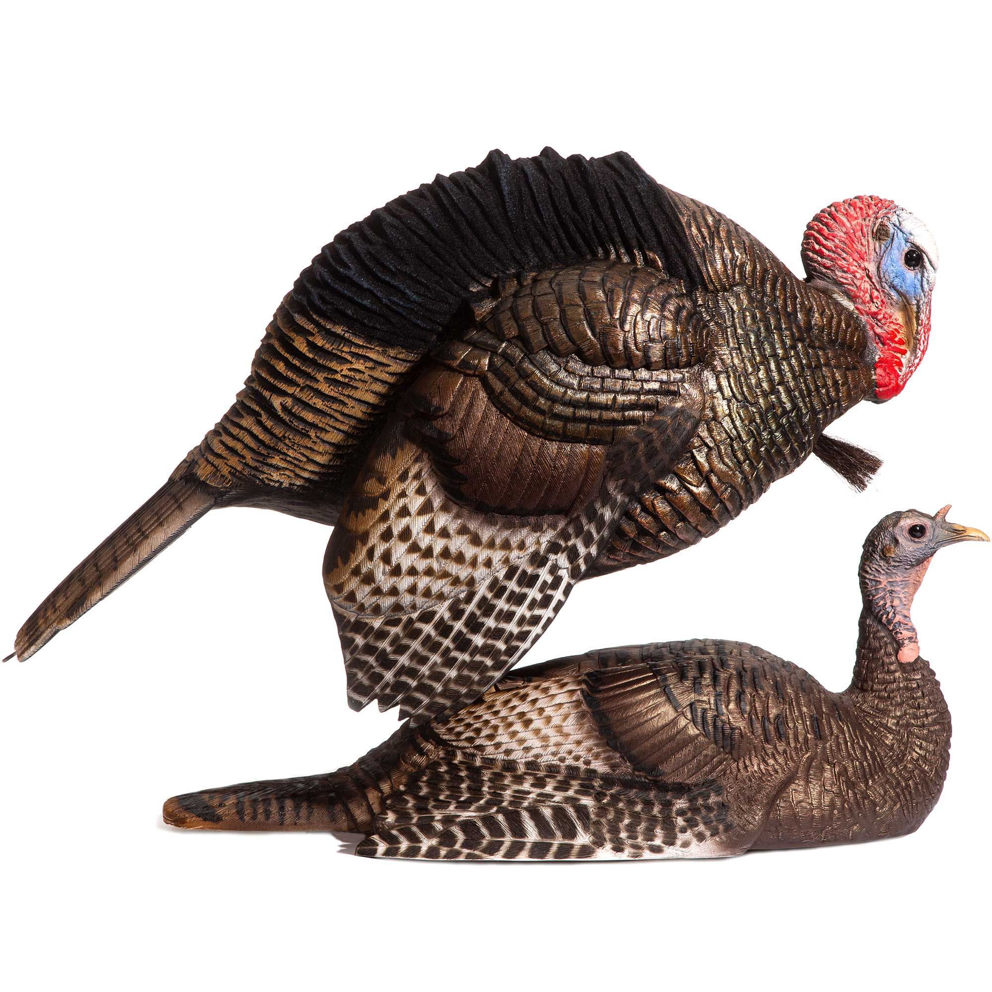 FGBLOG DSD Mating Motion Pair.jpg