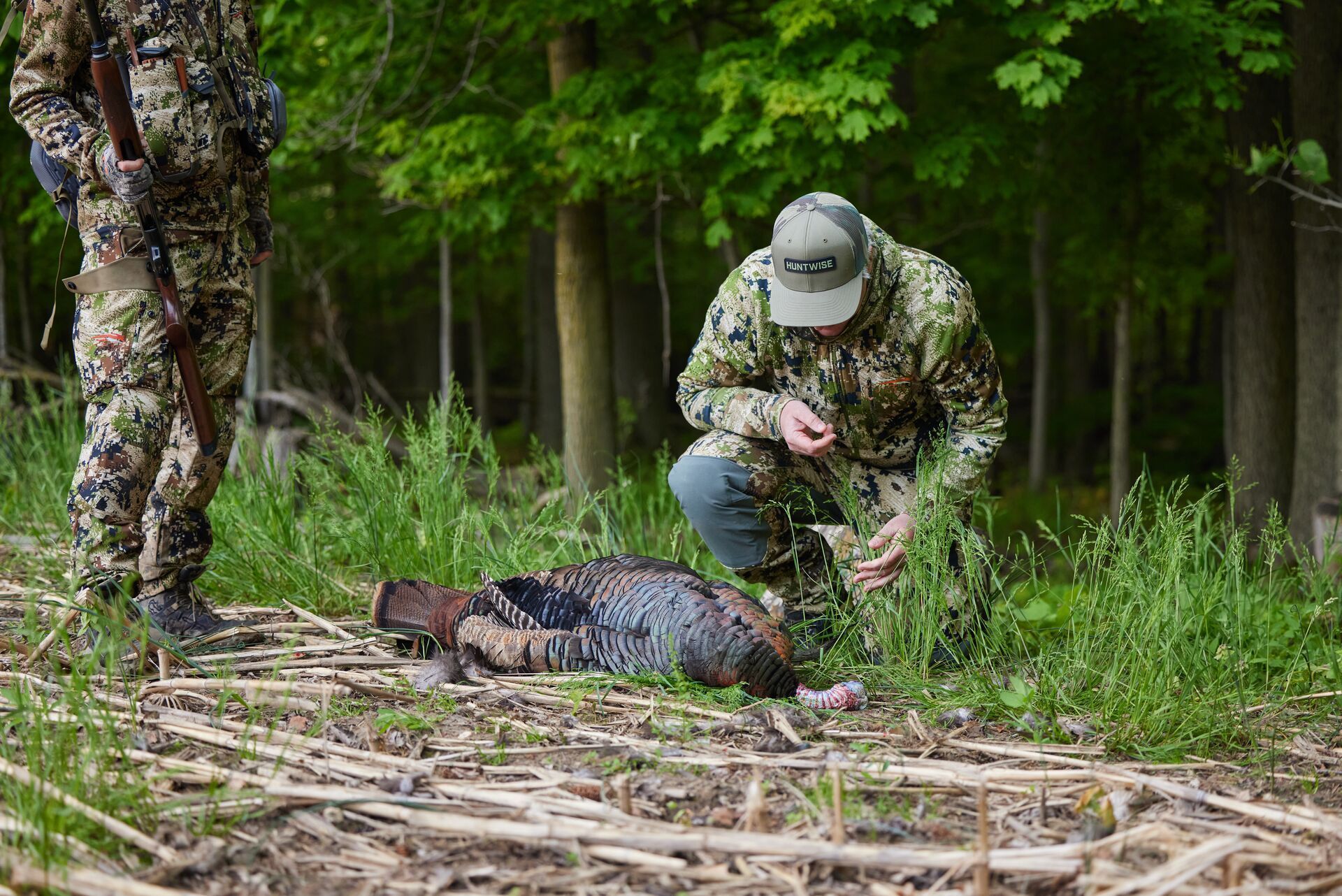 A hunter bends over a turkey after a hunt, Iowa hunting season concept.