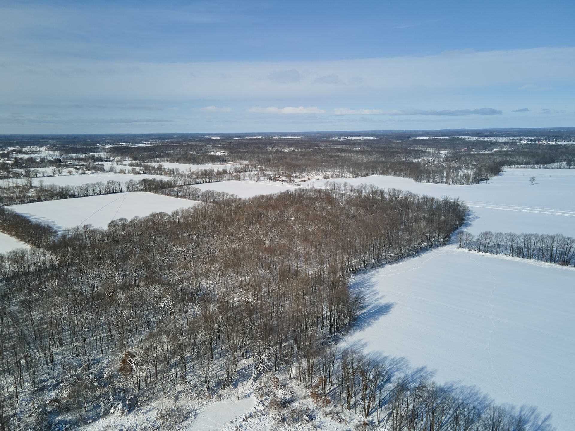 Arial view of a winter habitat for muzzleloader hunting.