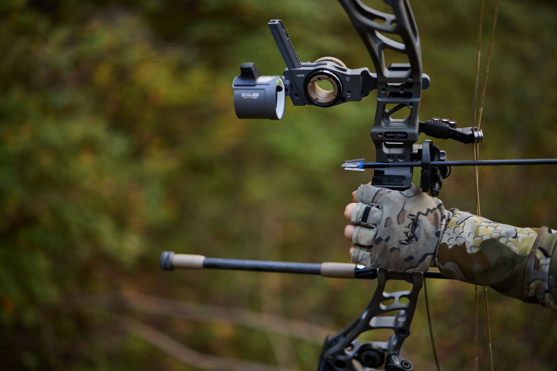 Close-up of a bow in hunter