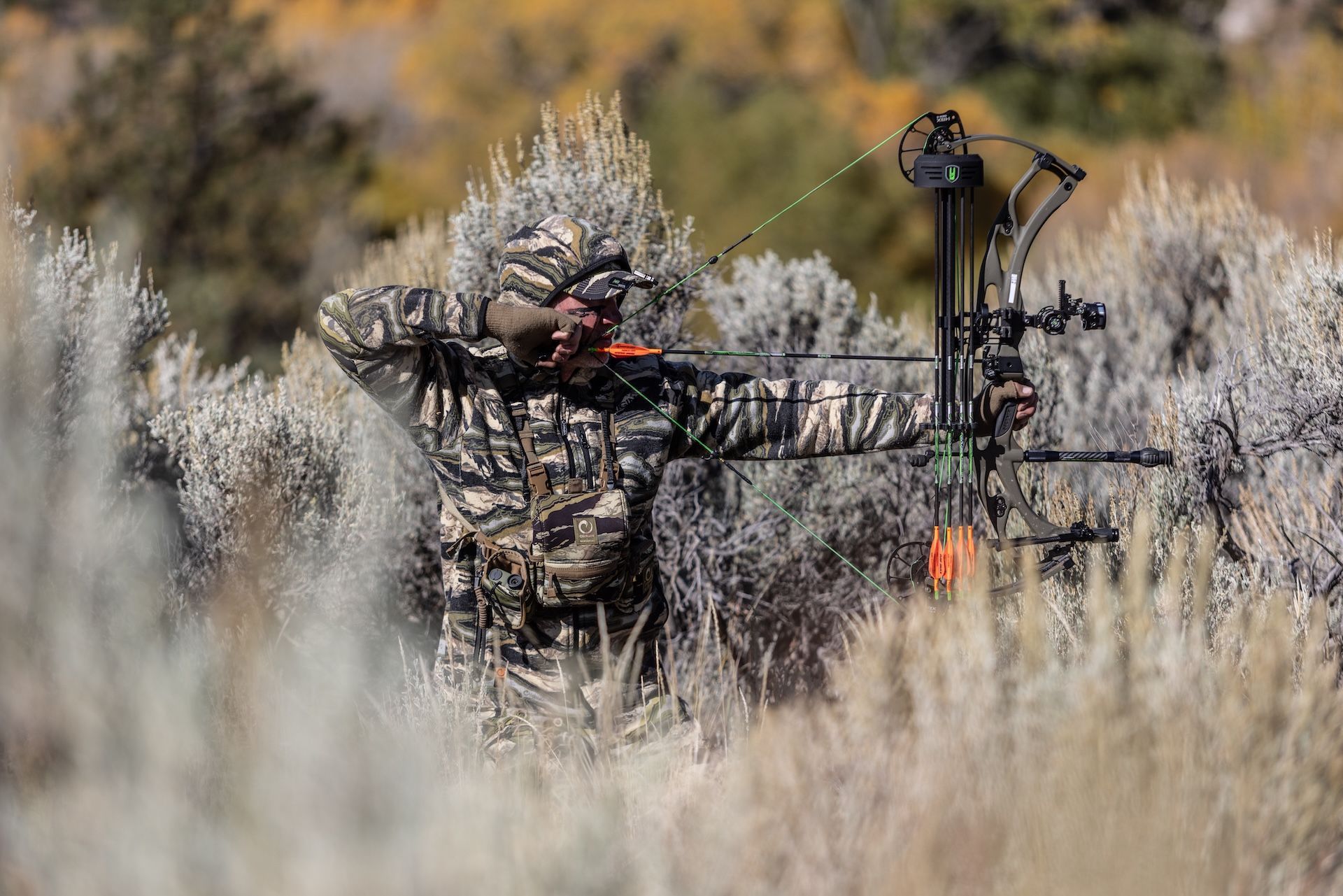 Hunter draws bow in thick brush, spot and stalk hunting concept.