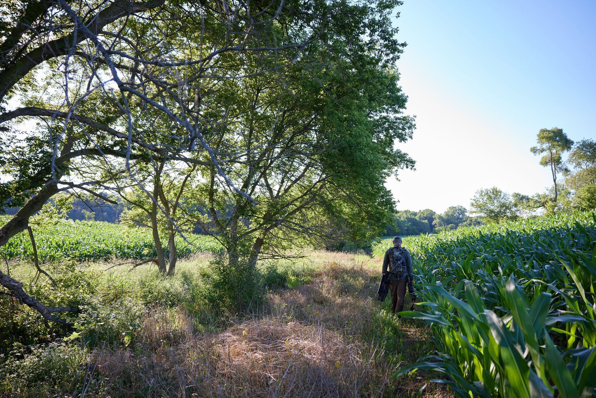 A hunter walks a hunting path with gear.