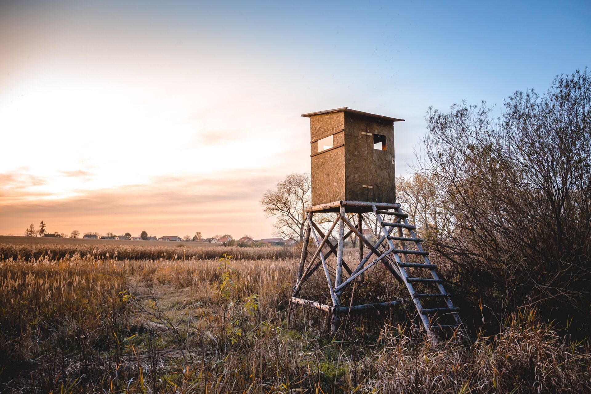 A hunting blind at the edge of a field.