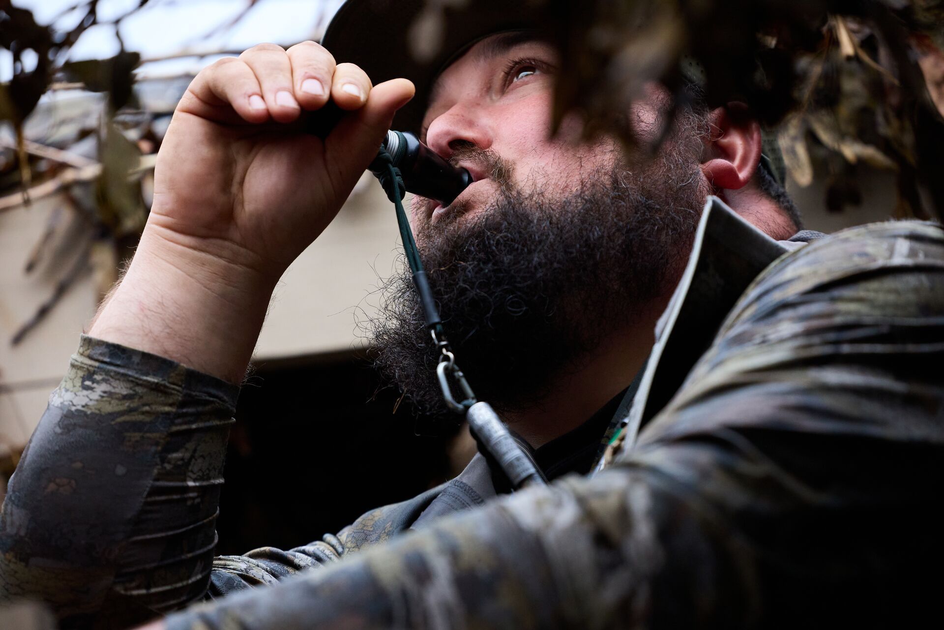 Hunter using duck call in hunting blind, duck hunting season concept.