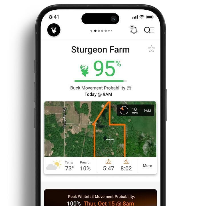 HuntCast probability on phone screen, how to use HuntCast concept.
