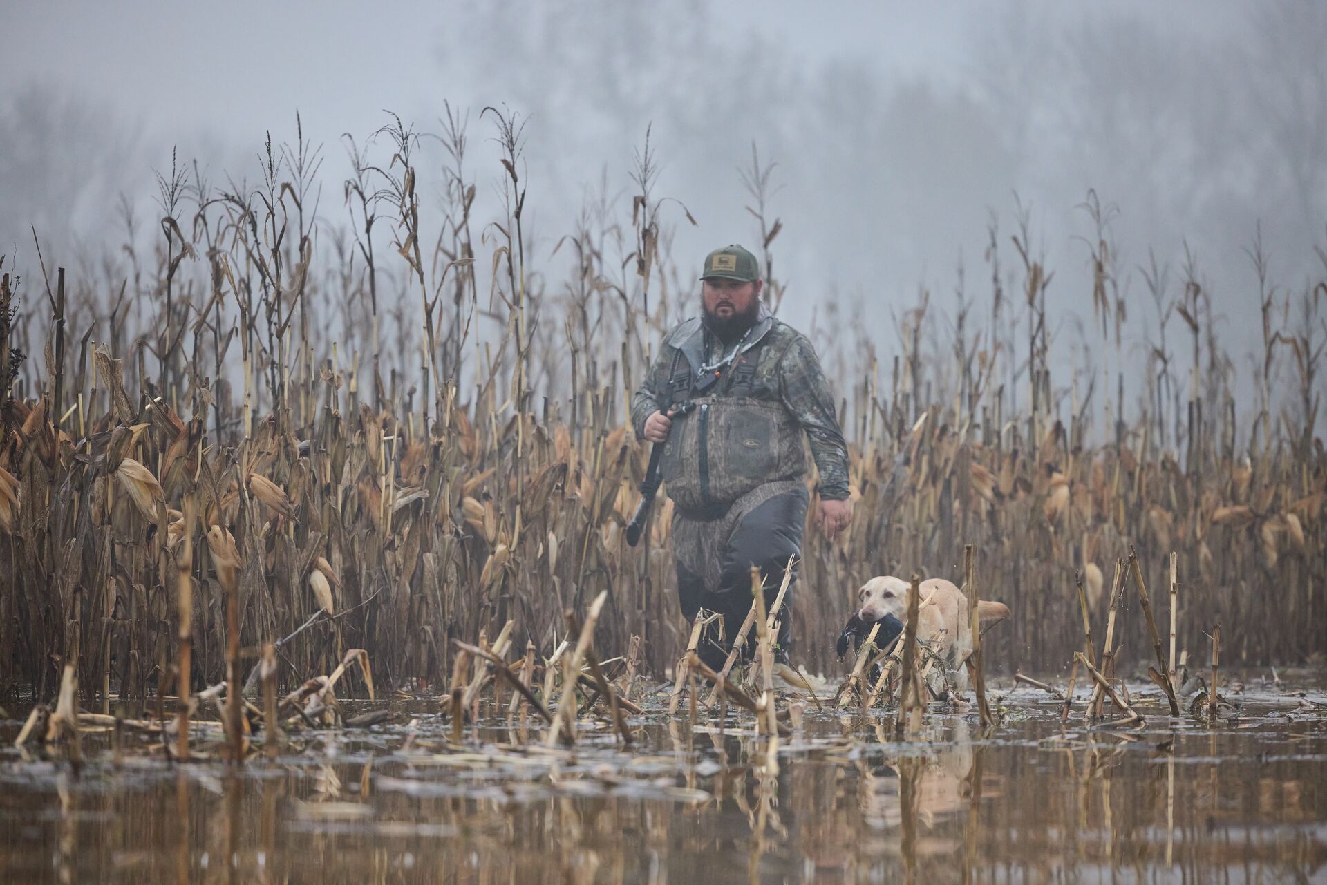 Hunter with hunting dog walks through water and reeds, waterfowl habitat management concept.