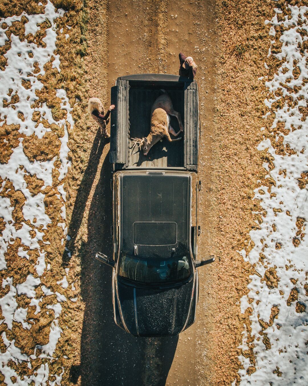 Overhead view of a deer in the back of a truck ready to be processed.
