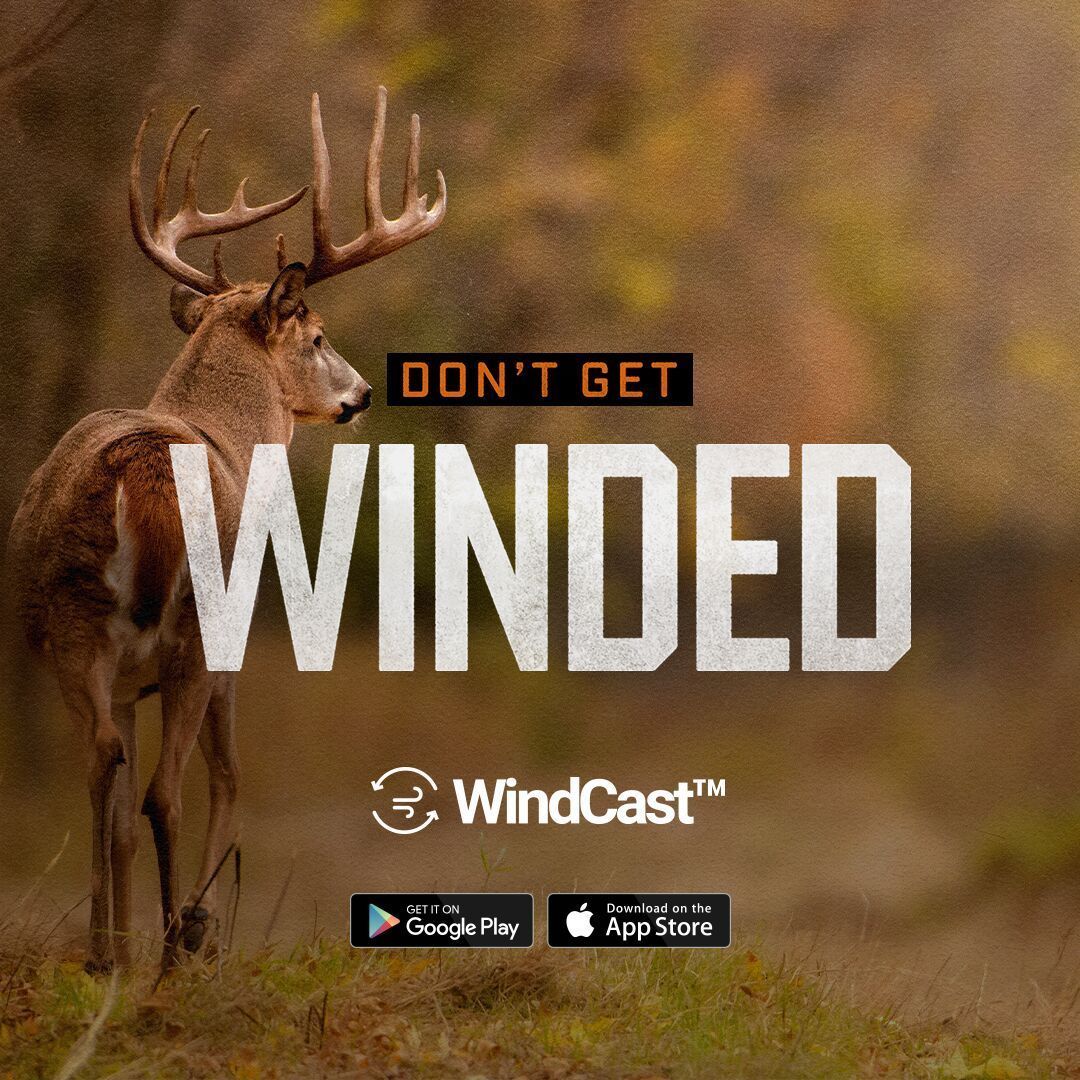 Image of a deer with "Don