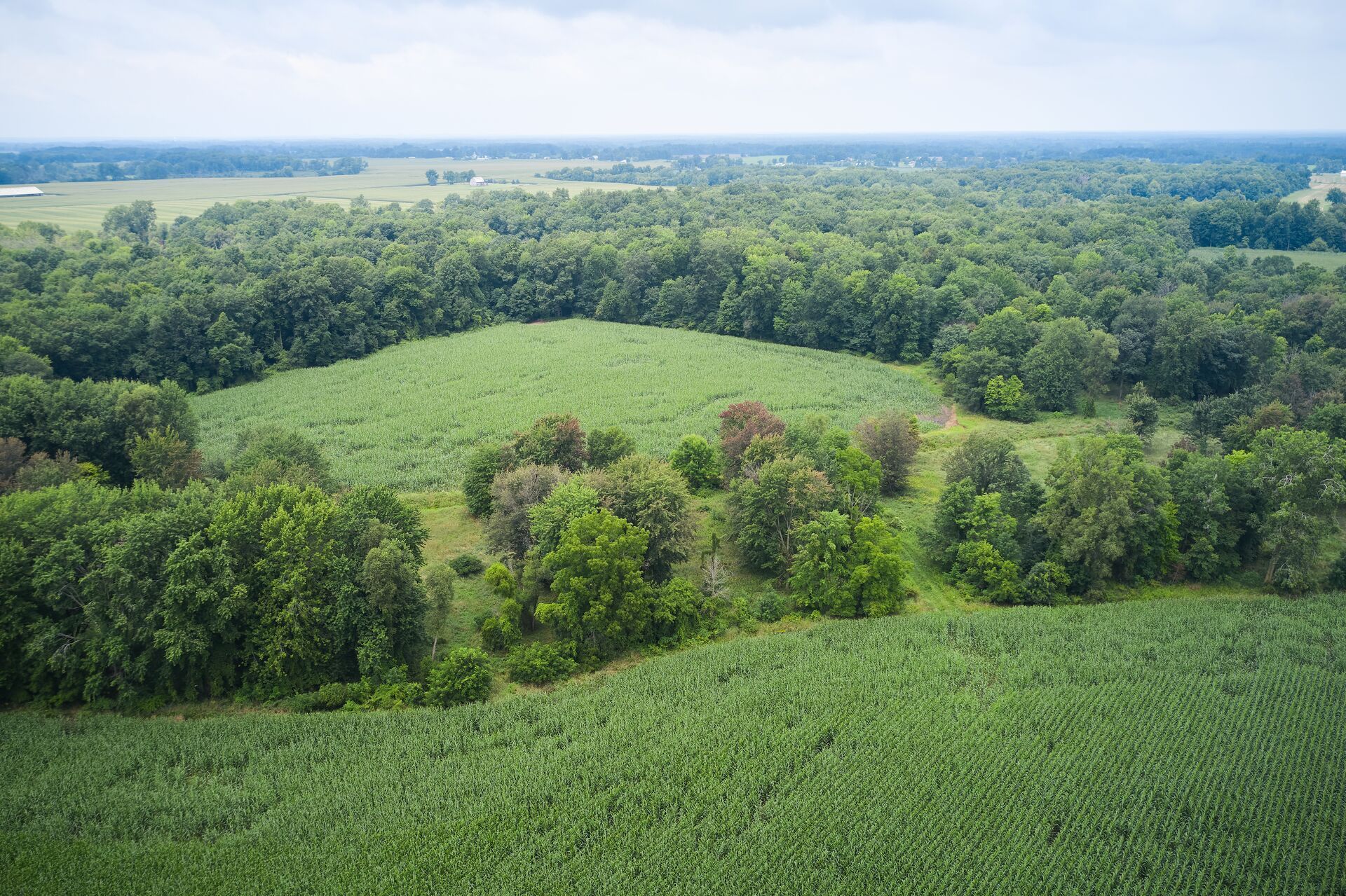 An overhead view of hunting land, Louisiana deer hunting season concept.