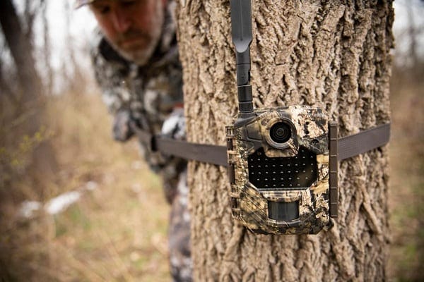 A hunter places a cellular trail cam on a tree.