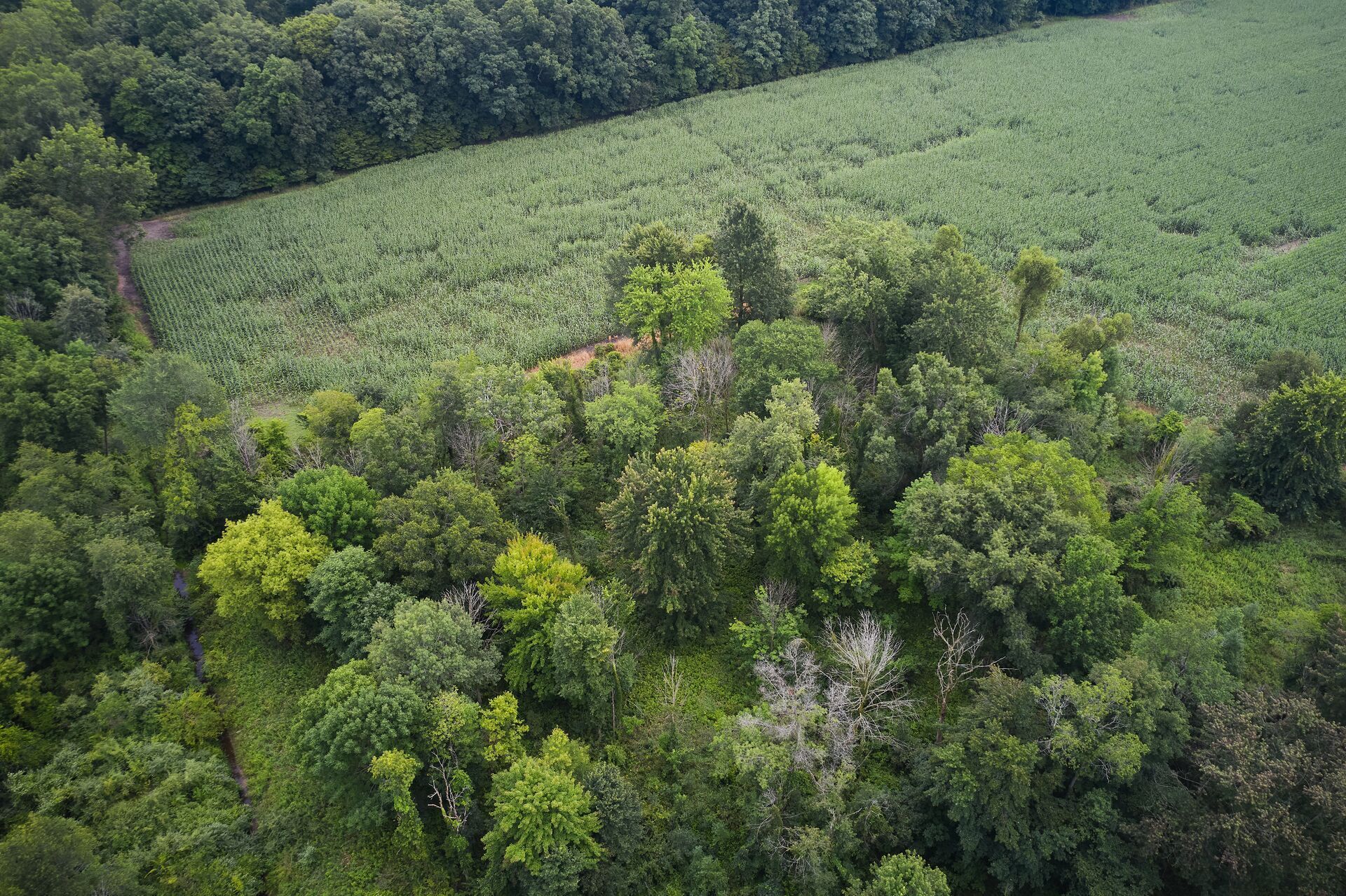 Overhead view of deer hunting land.