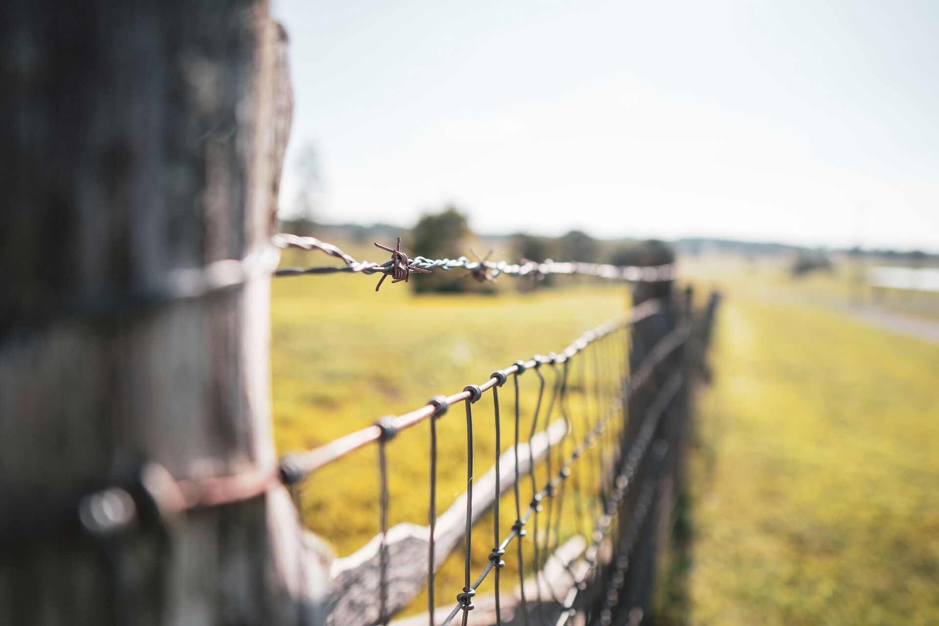Close-up of barbed wire fence, hunting app with property lines concept.