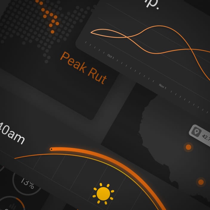 Field-Tested Insights