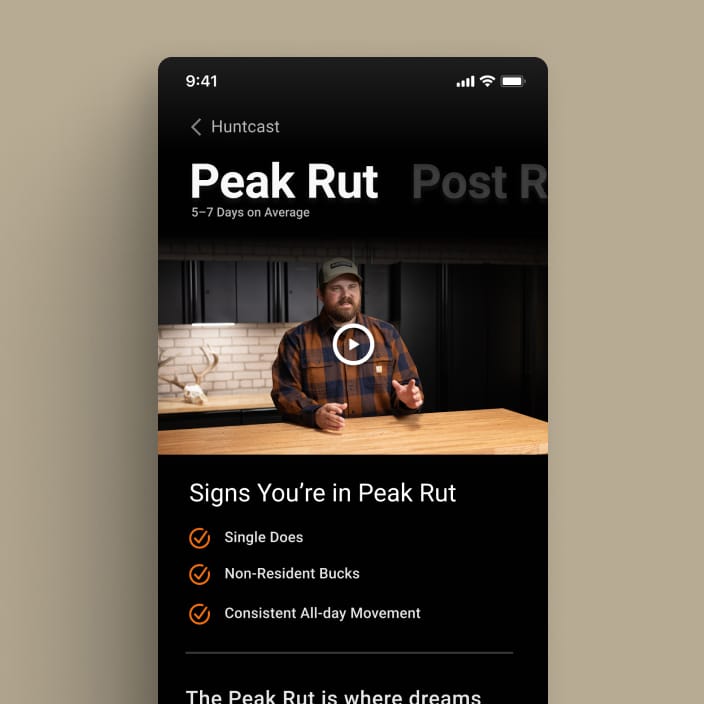 Strategy that Delivers