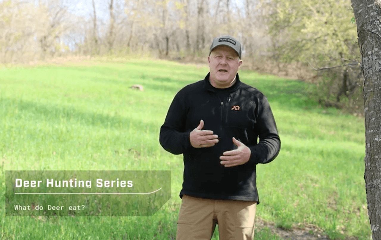 Jeff Sturgis: The Diet Of A Deer