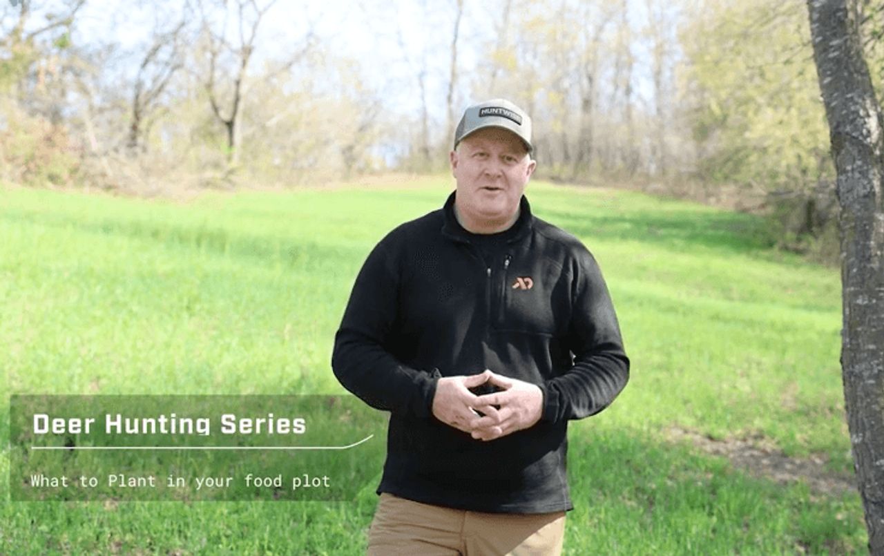 Jeff Sturgis: Food Plot Favorites
