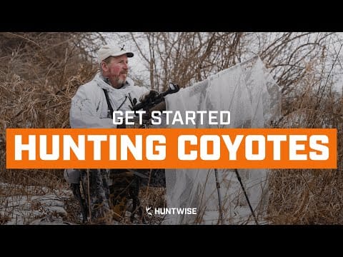 How to Get Start Coyote Hunting in 2022