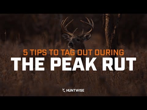 5 Peak Deer Rut Tips to Drop the Biggest Buck in the Neighborhood