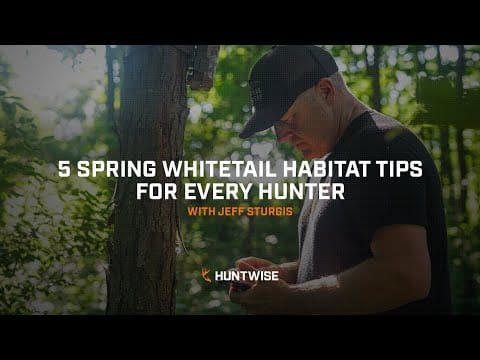 5 Spring Whitetail Habitat Tips for Every Hunter with Jeff Sturgis