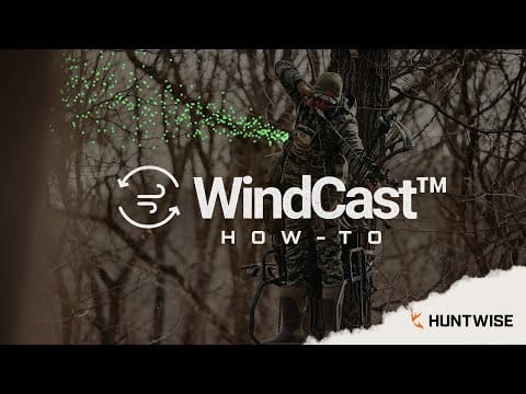 How to Predict Wind Direction with WindCast