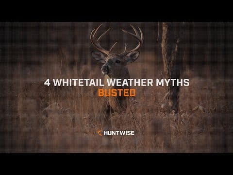 4 Whitetail Weather Myths Busted