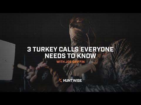 3 Turkey Calls Everyone Needs to Know