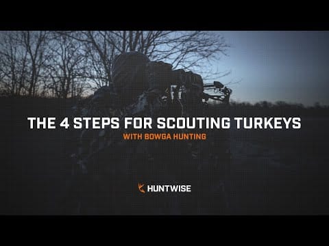 The 4 Steps for Scouting Turkeys with Bowga Hunting