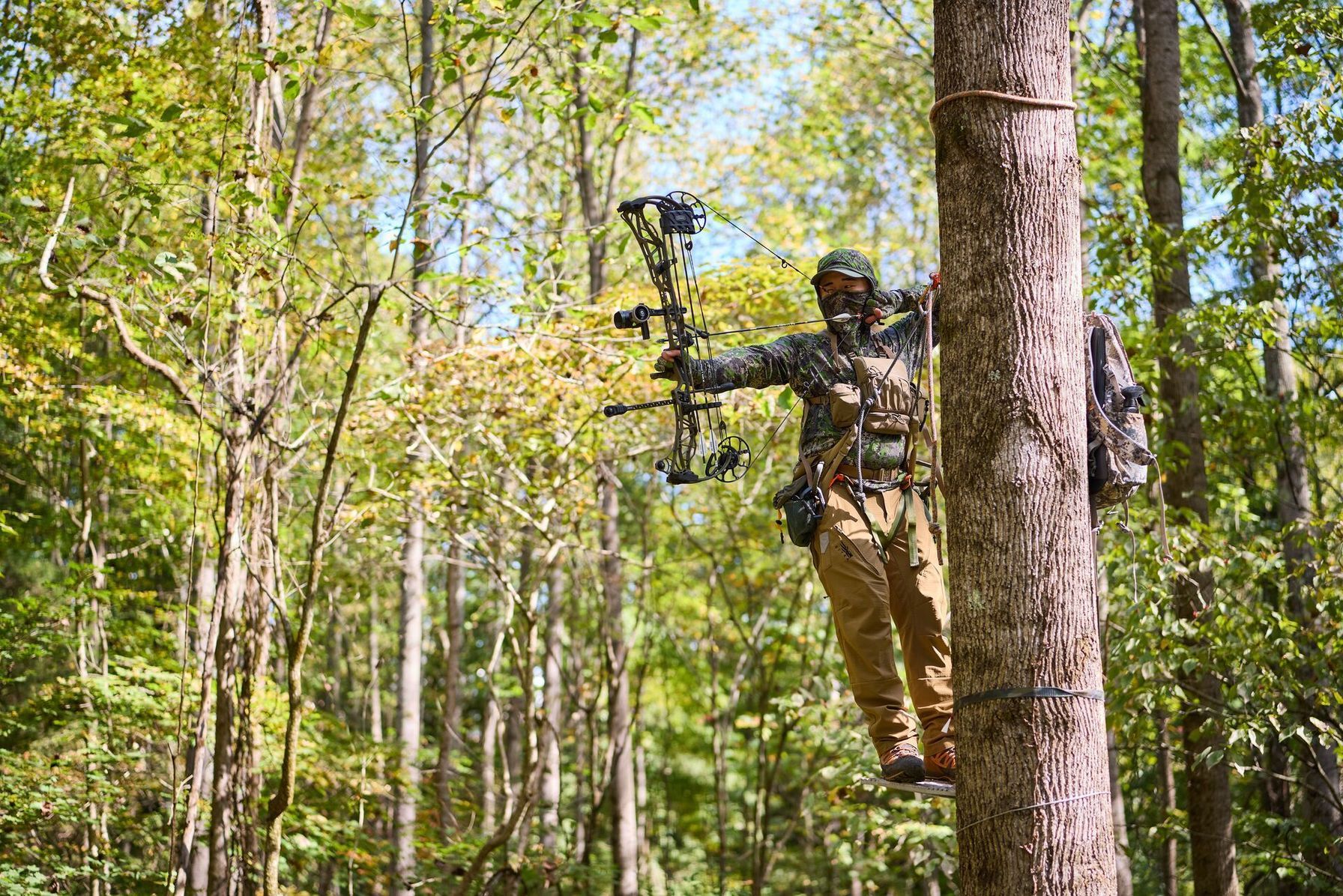 Hunter in tree draws bow, hunting with first-come first-served tags concept.