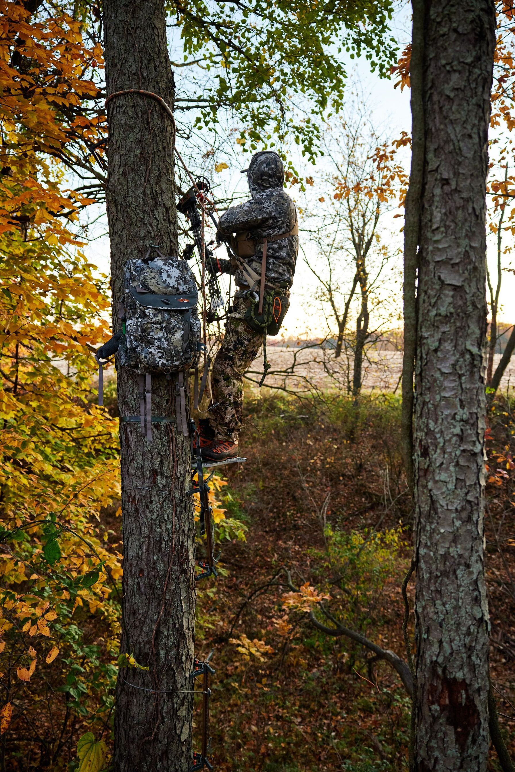 Hunter high in tree saddle, move stand based on rut movement concept.