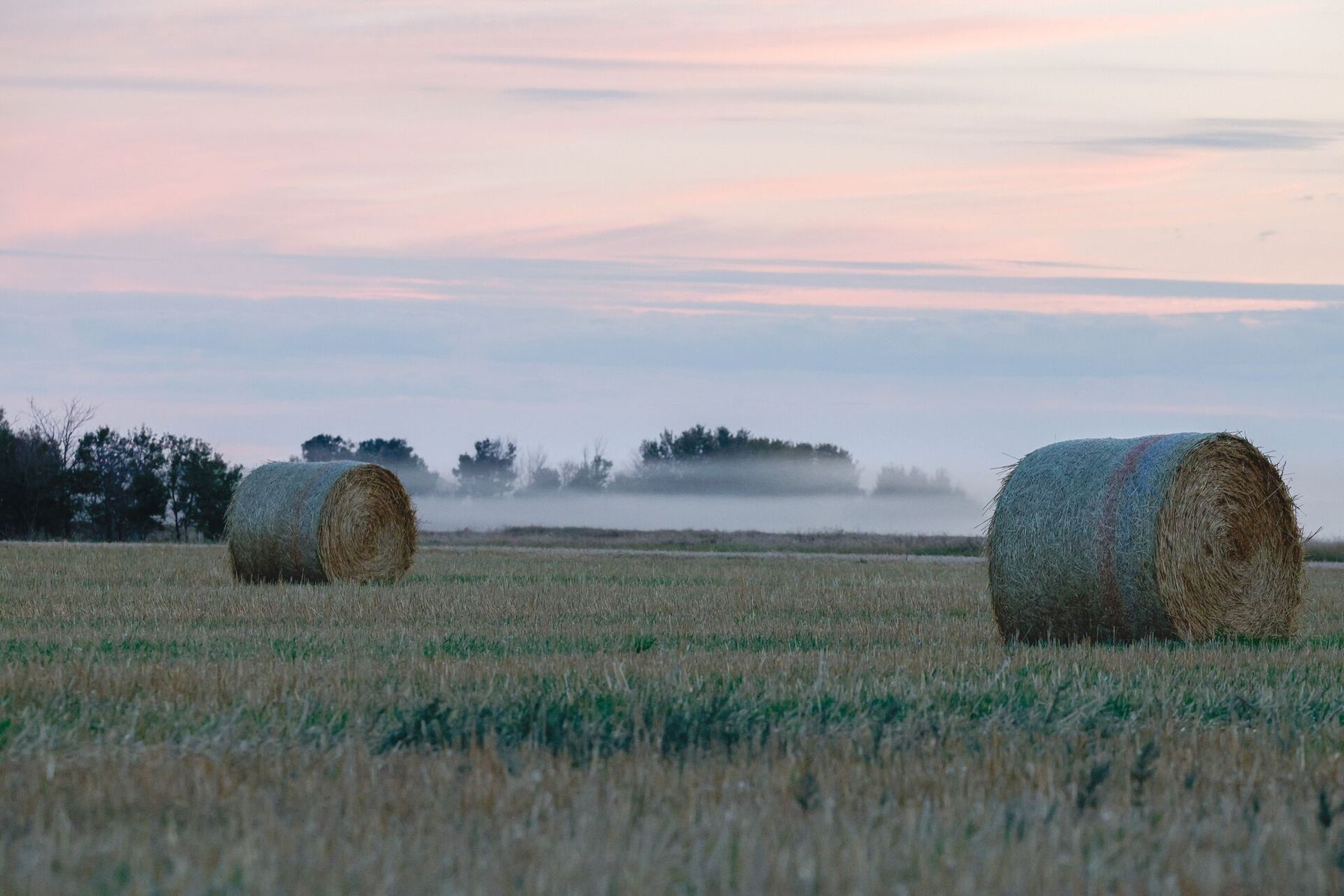 A field with bales of hay, hunting on private property concept.