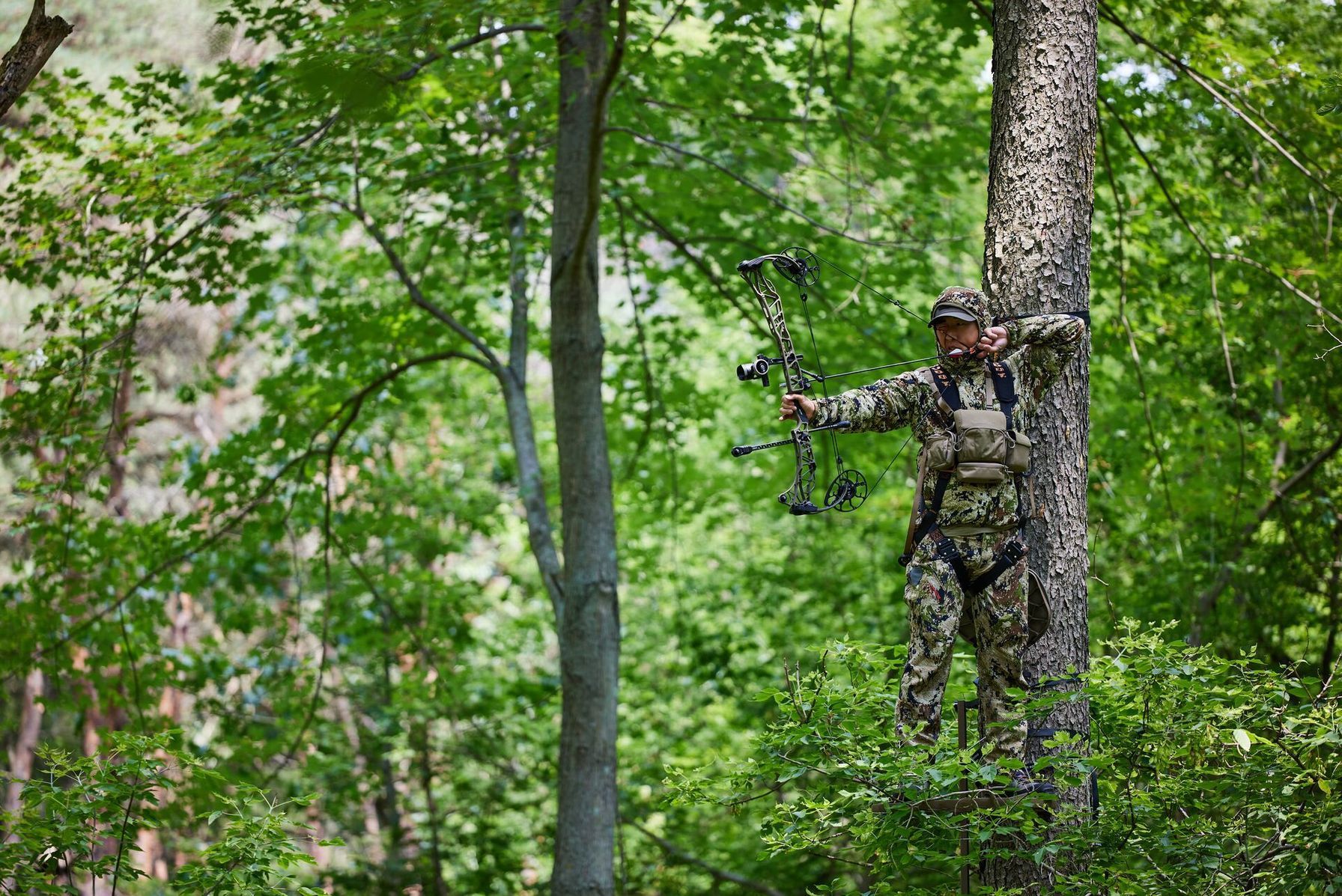 A hunter in a tree stand draws a bow, draw weight concept.