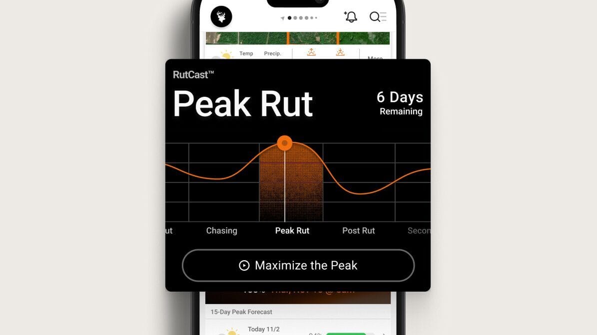 Illustration of Peak Rut showing in RutCast from HuntWise on phone screen.