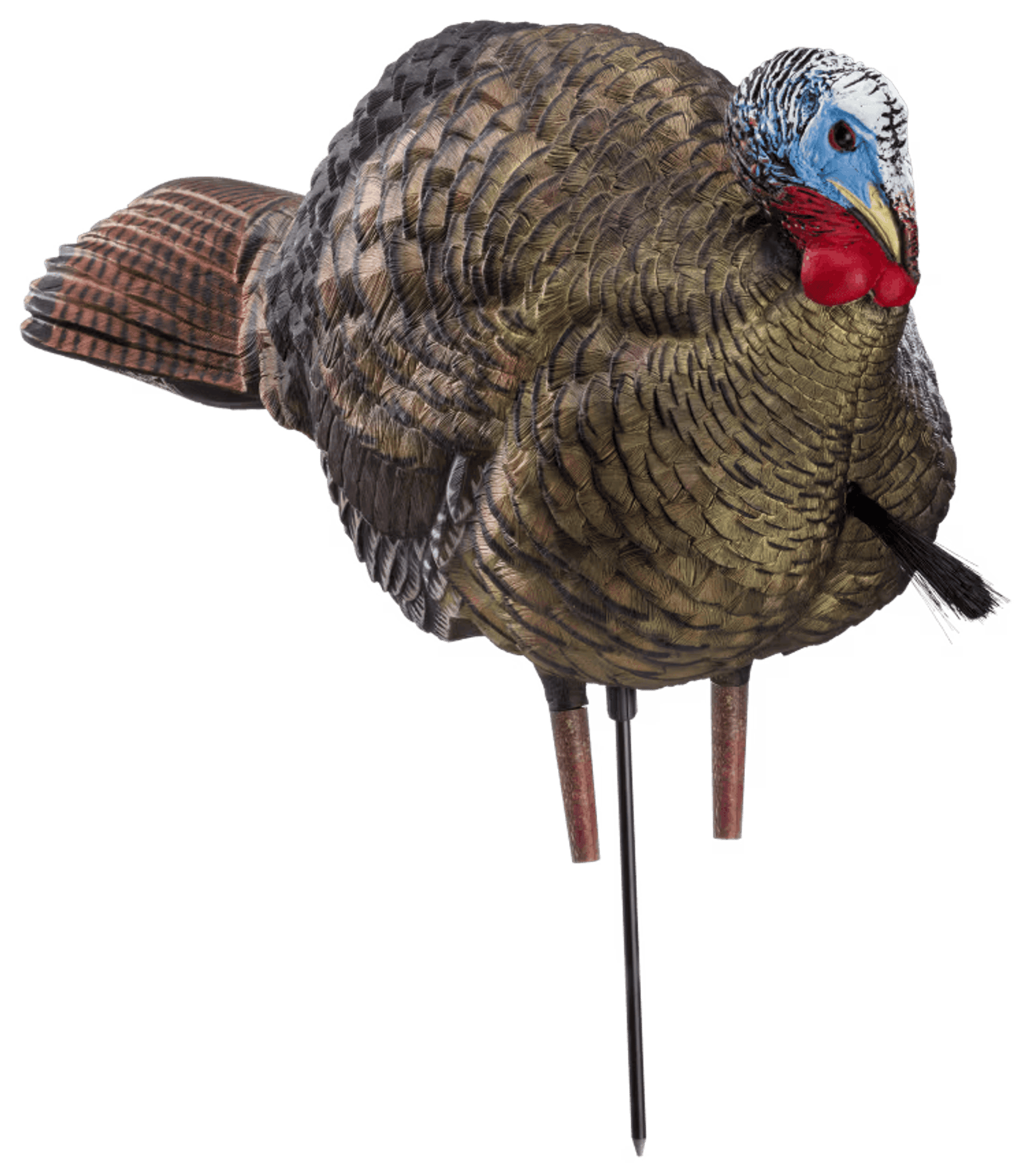 Avian-X LCD 1/2 Strut Jake Turkey Decoy, best turkey decoys concept.