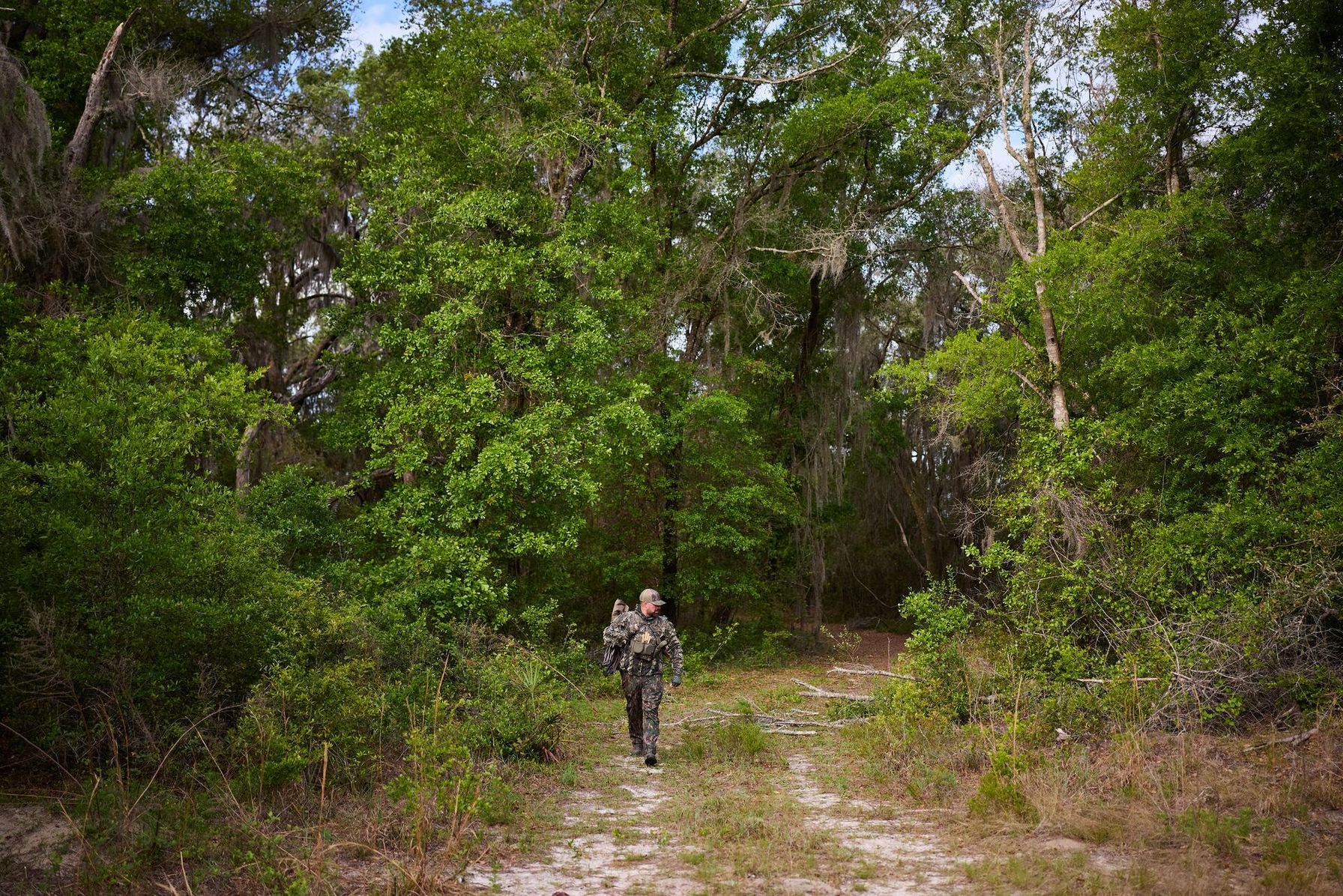 Hunter walks a road in the woods, WIHA hunting concept.