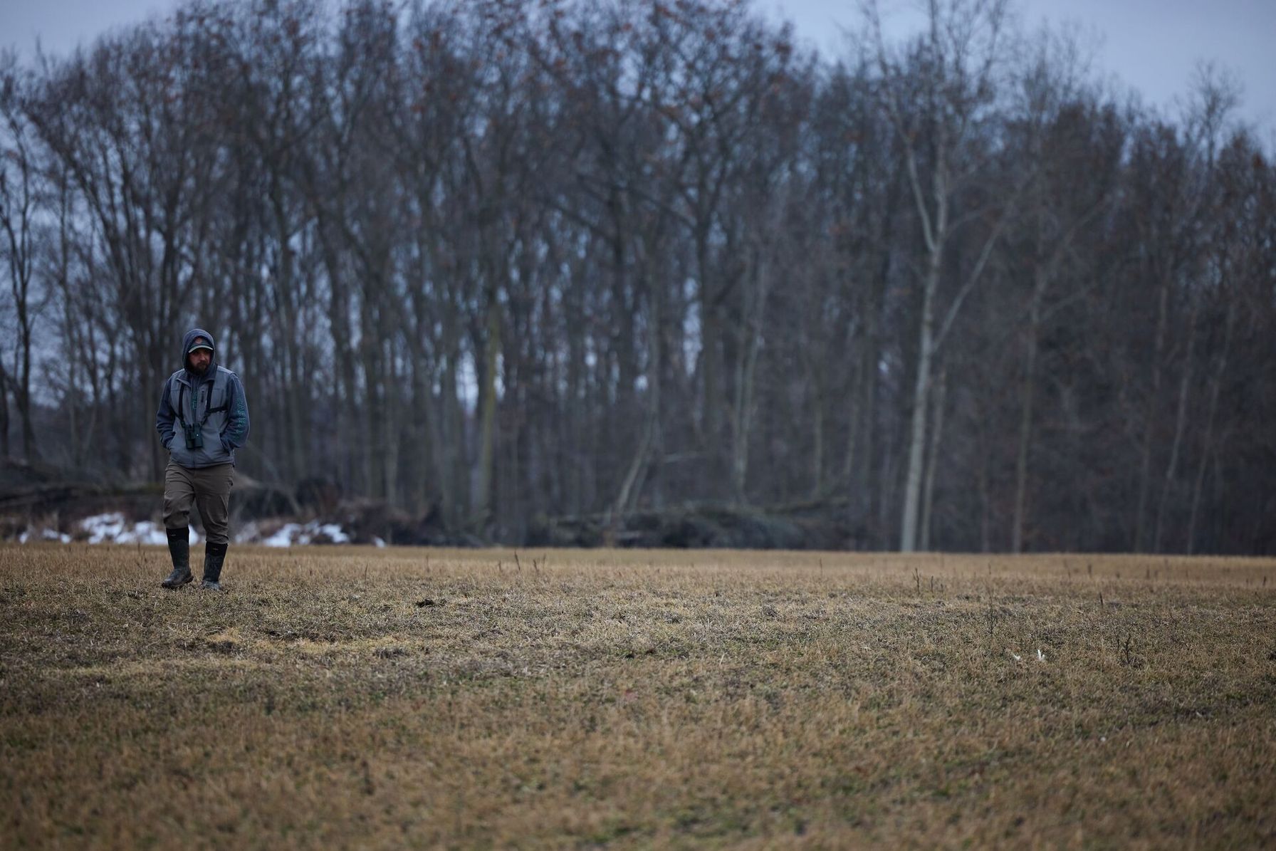 Hunter walks toward shed antler in a field, how to find deer sheds concept.