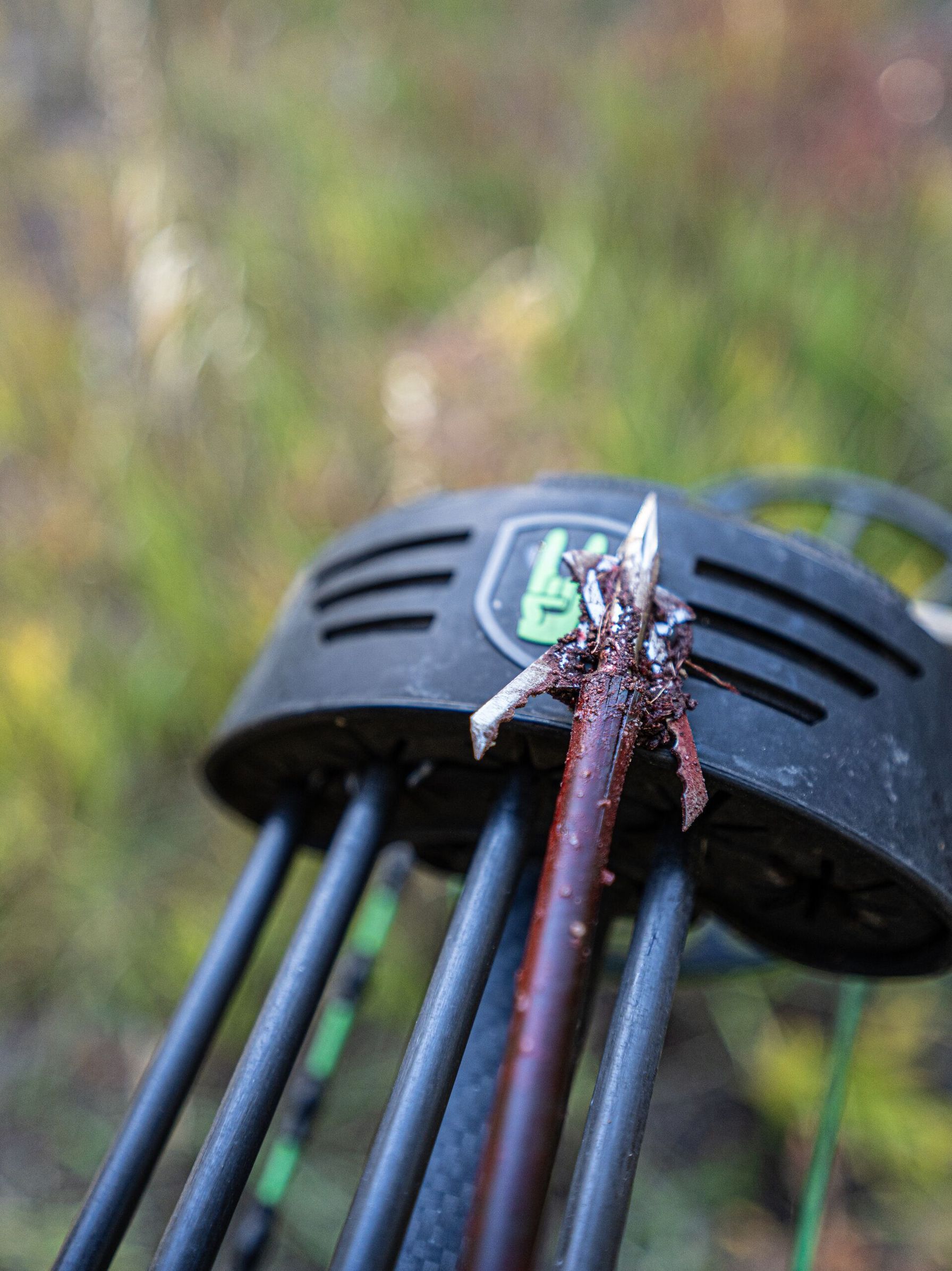 Close-up of a broadhead and front of arrow with blood on it.
