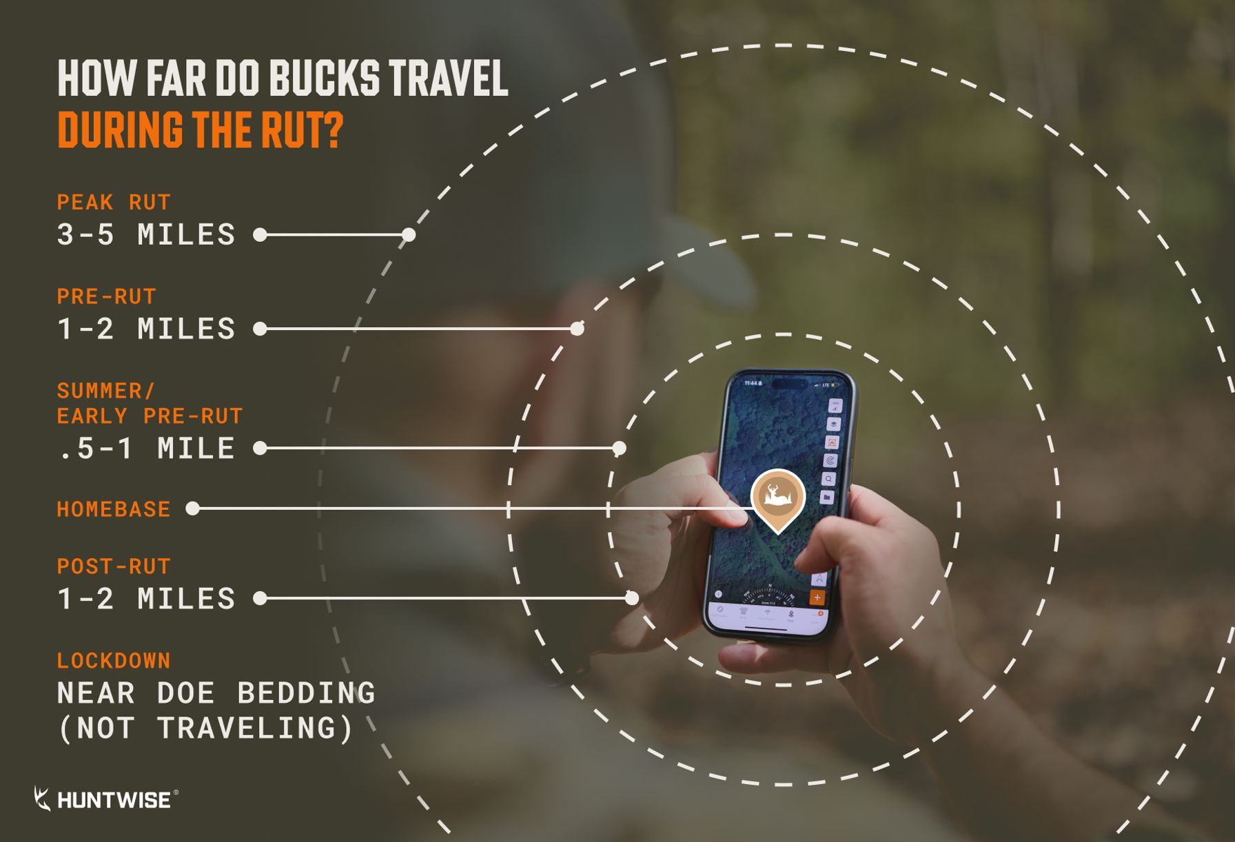 Graphic showing distances a buck travels during the rut, how far do deer travel during rut concept.