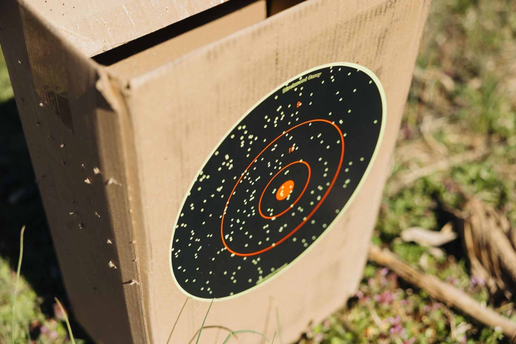 Box target showing pellet impact from patterning a shotgun.