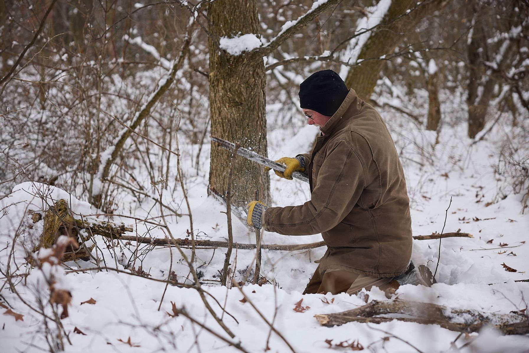 Man setting a live animal trap in the snow, Missouri trapping guide concept.