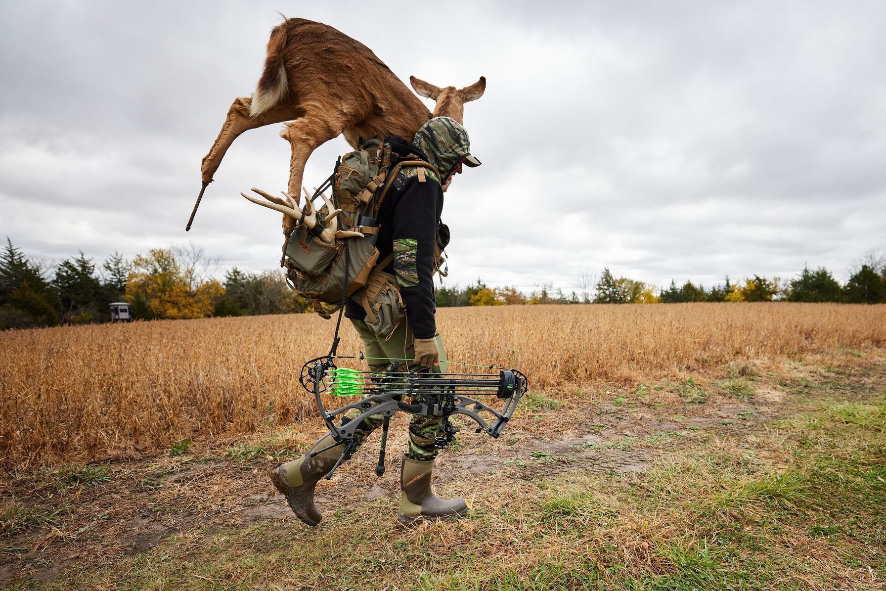 A hunter carries a deer decoy into the field, hunting deer with a decoy concept.