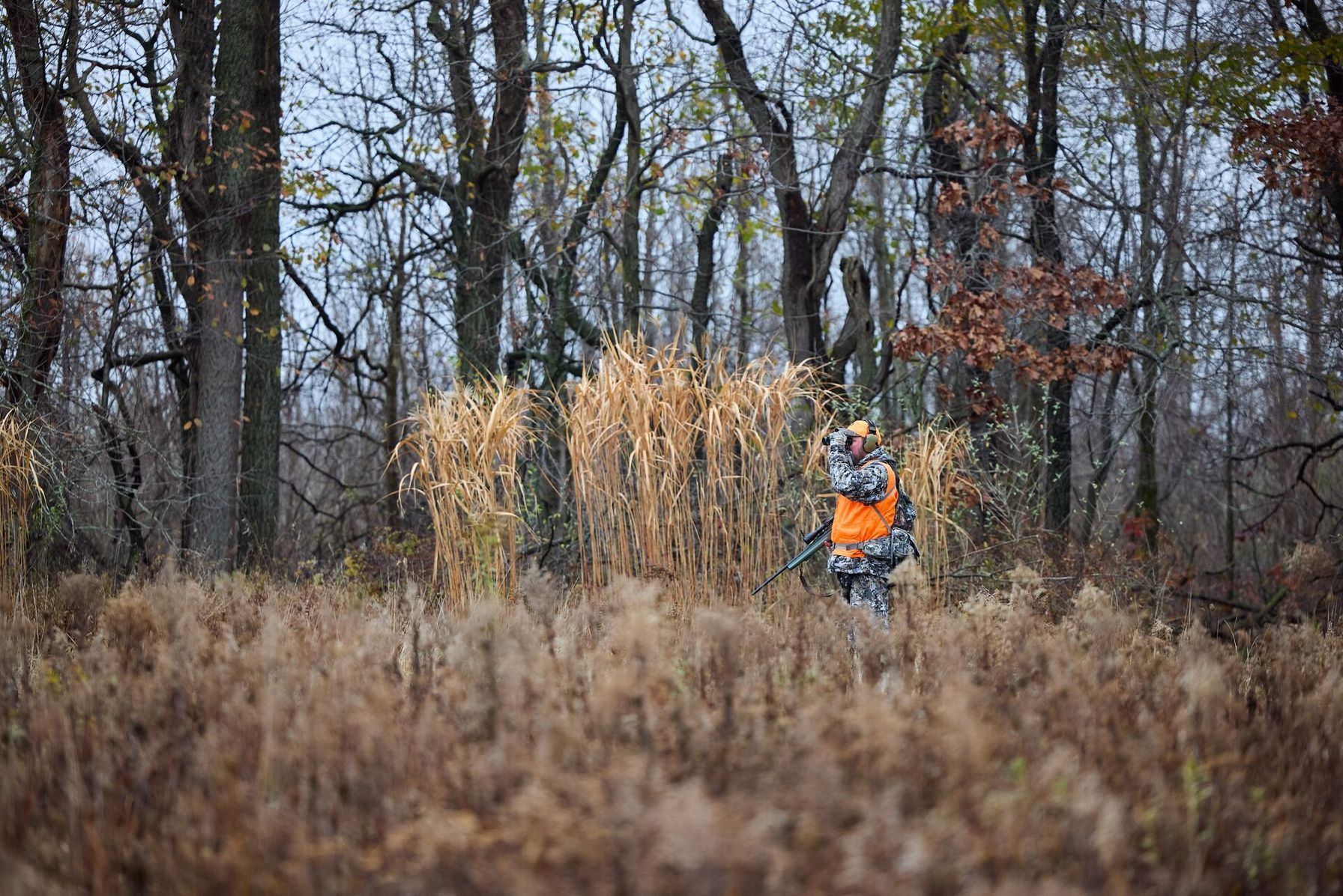 A hunter in camo and blaze orange uses binoculars in the woods, find the best time to hunt concept.