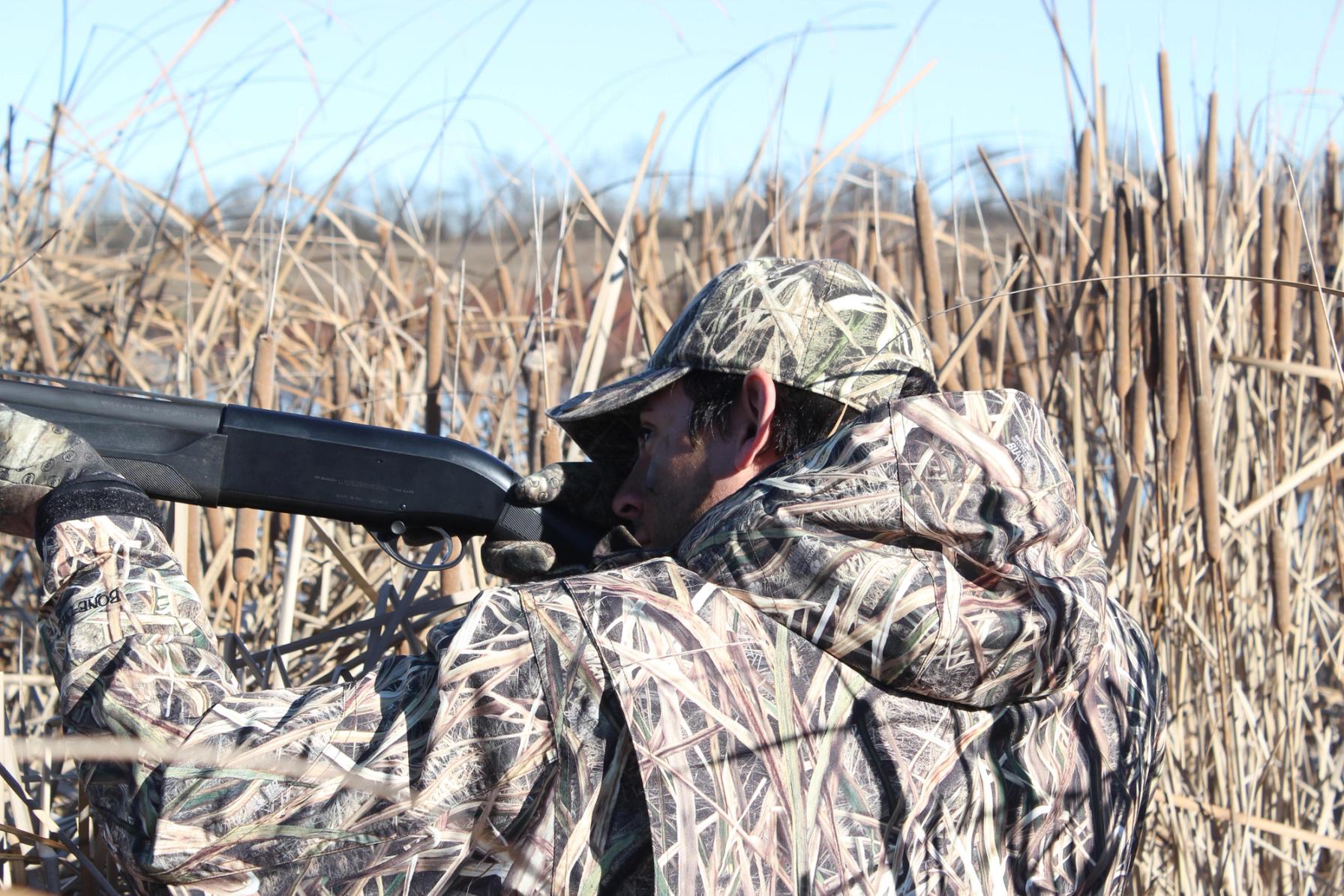 Hunter aiming shotgun in tall reeds, Arkansas waterfowl hunting land concept. 