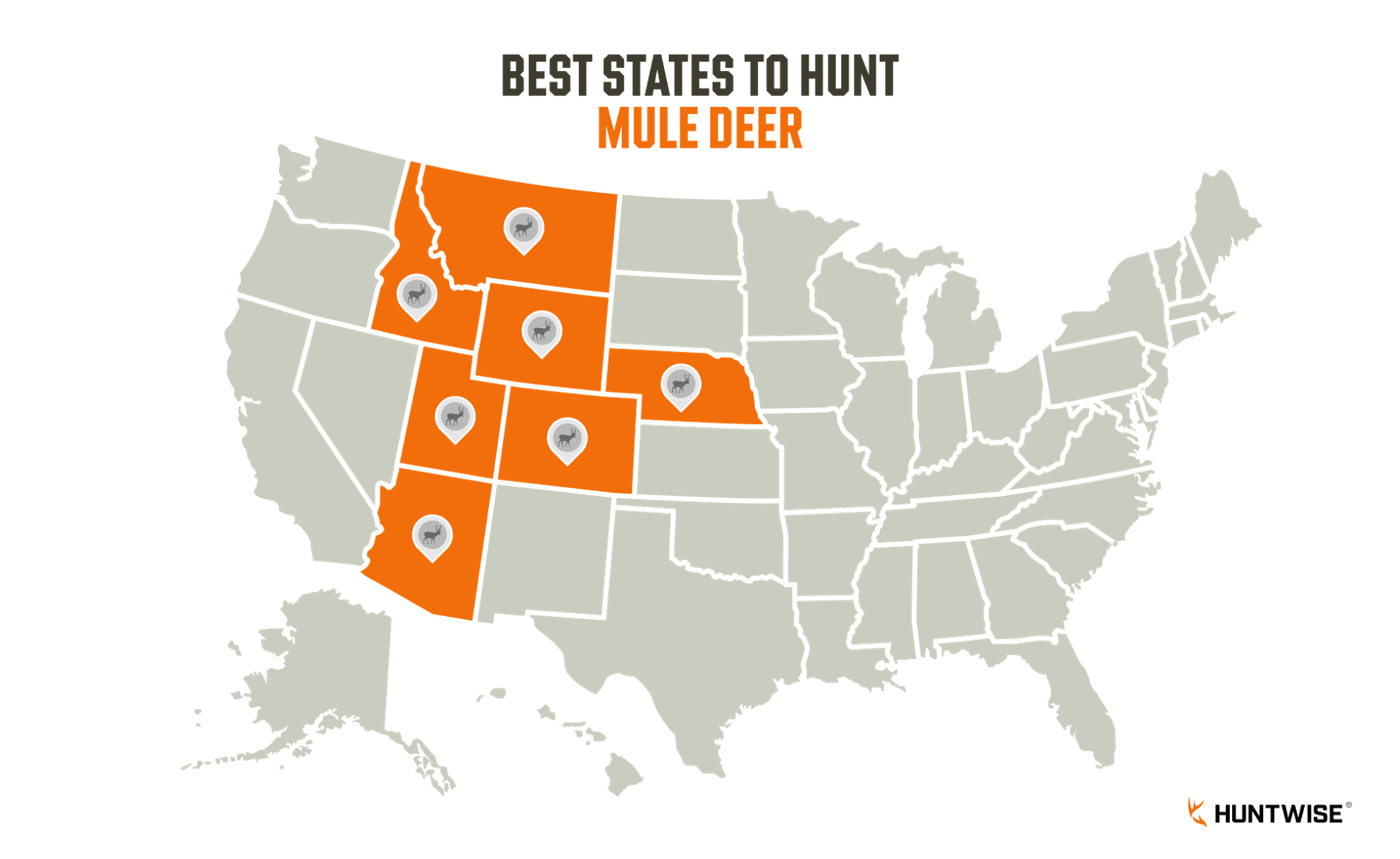 Graphic showing the best states to hunt mule deer in the U.S.