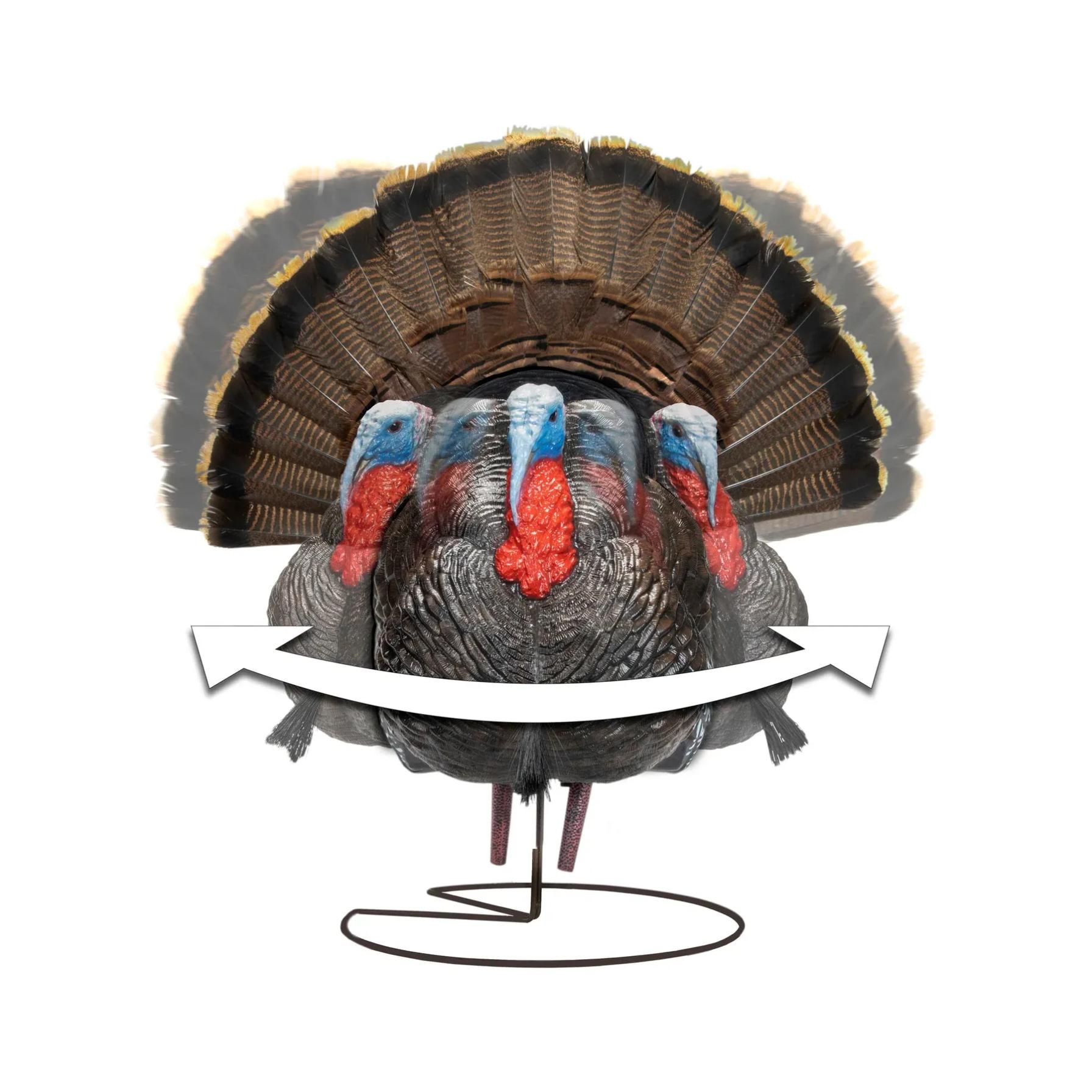 FGBLOG Higdon_Outdoors_StrutterXS_motion_illustration2_1800x1800.webp